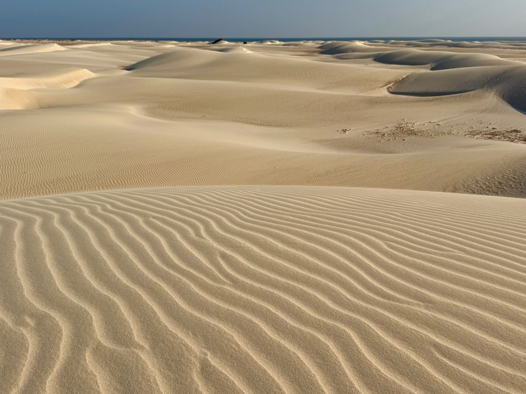 Embrace Socotra-Hadiboh必去景点