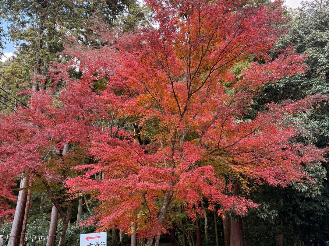 Hiyoshi Taisha-大津市必去景点