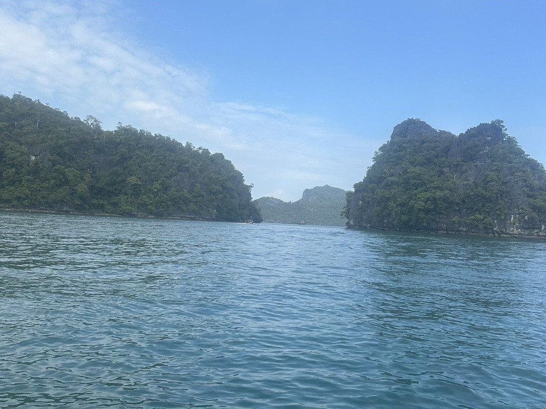 Langkawi Mangrove Tour by Hasfary Travel & Tours-兰卡威必去景点