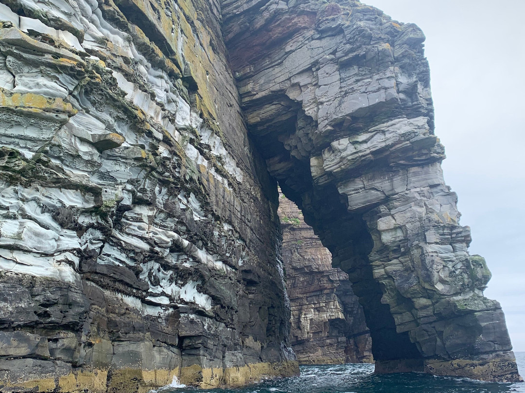 Shetland Seabird Tours - The Noss Boat-Lerwick必去景点