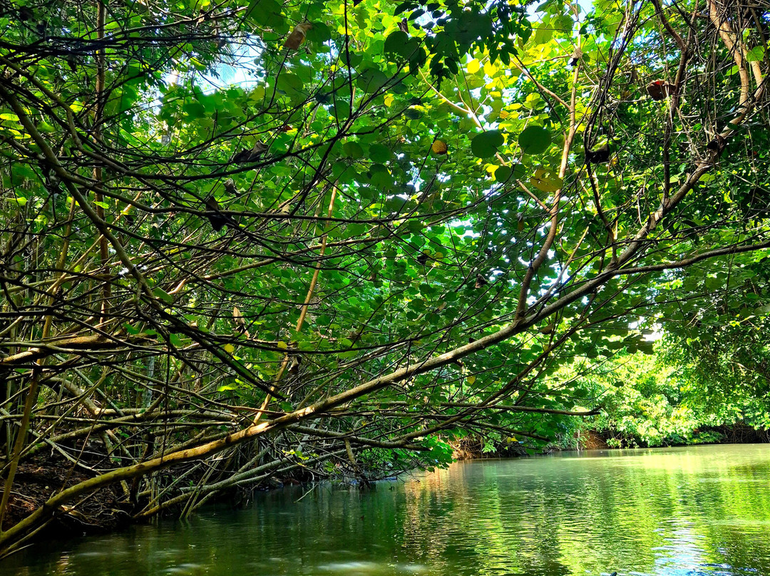 Sheppee Fun Tours Dominica-罗索必去景点