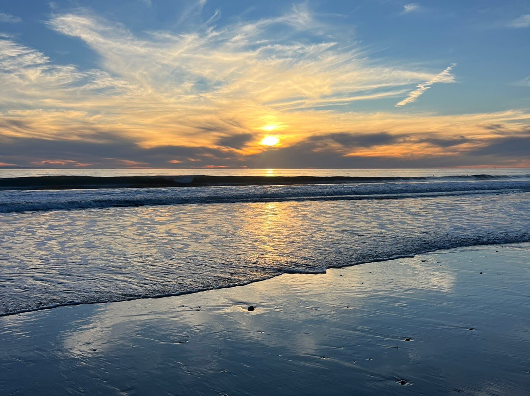 Arroyo Burro County Beach Park-圣巴巴拉必去景点