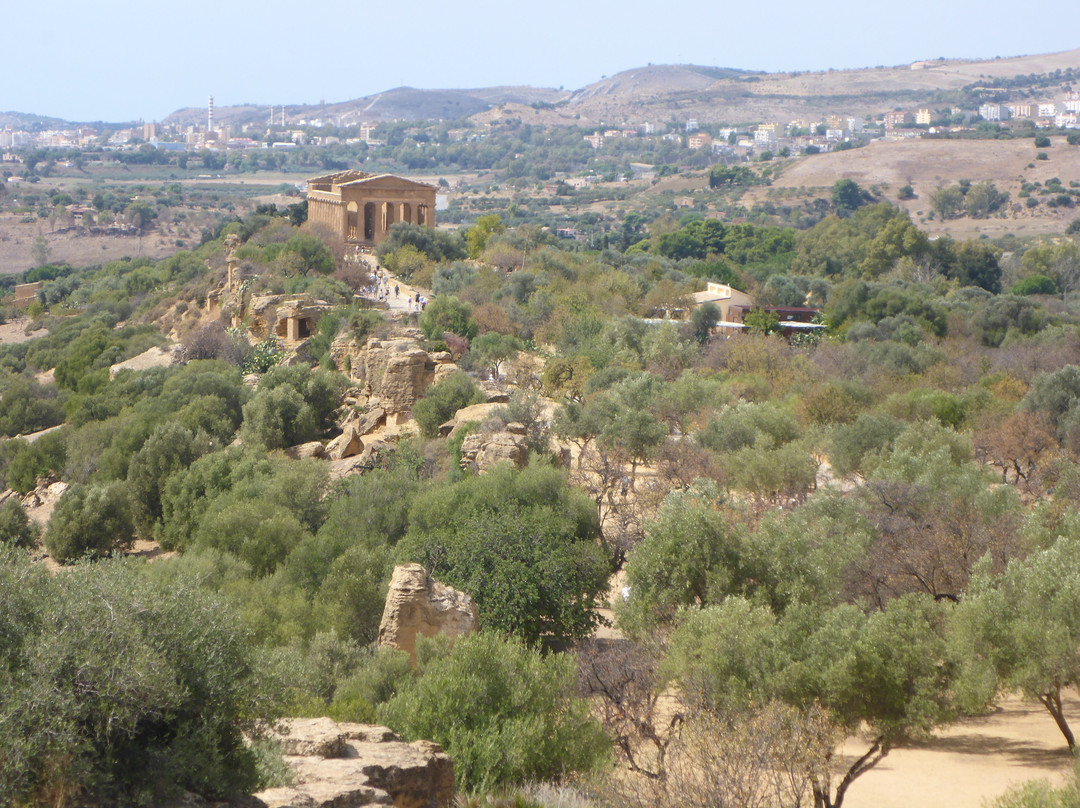 Valley of the Temples-阿格里真托必去景点