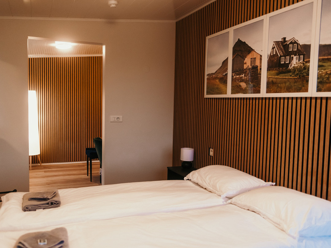 Iceland Guesthouse - Hvítá主图