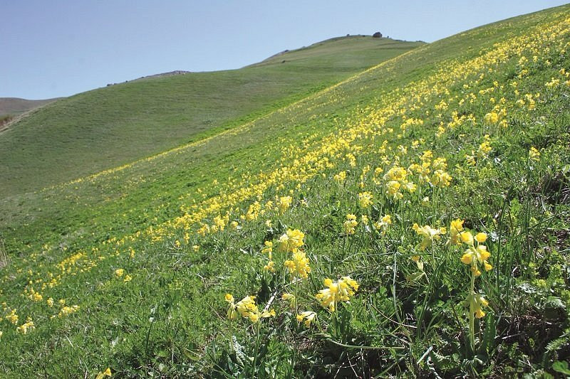 Tengya Alty Gorge-Quba必去景点