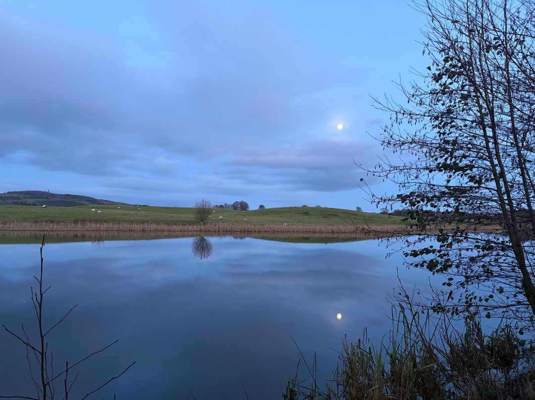 Wild Scottish Sauna-Kingsbarns必去景点
