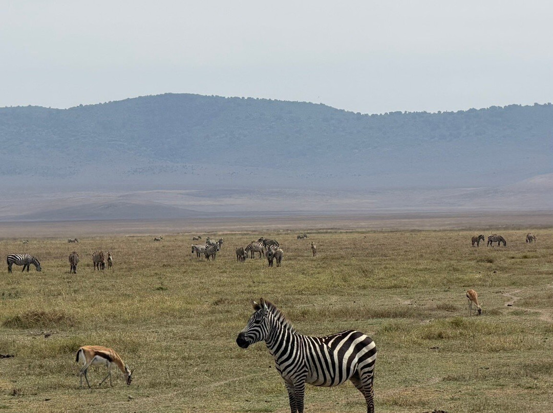 Tanzania Climbing Outfitters-阿鲁沙必去景点