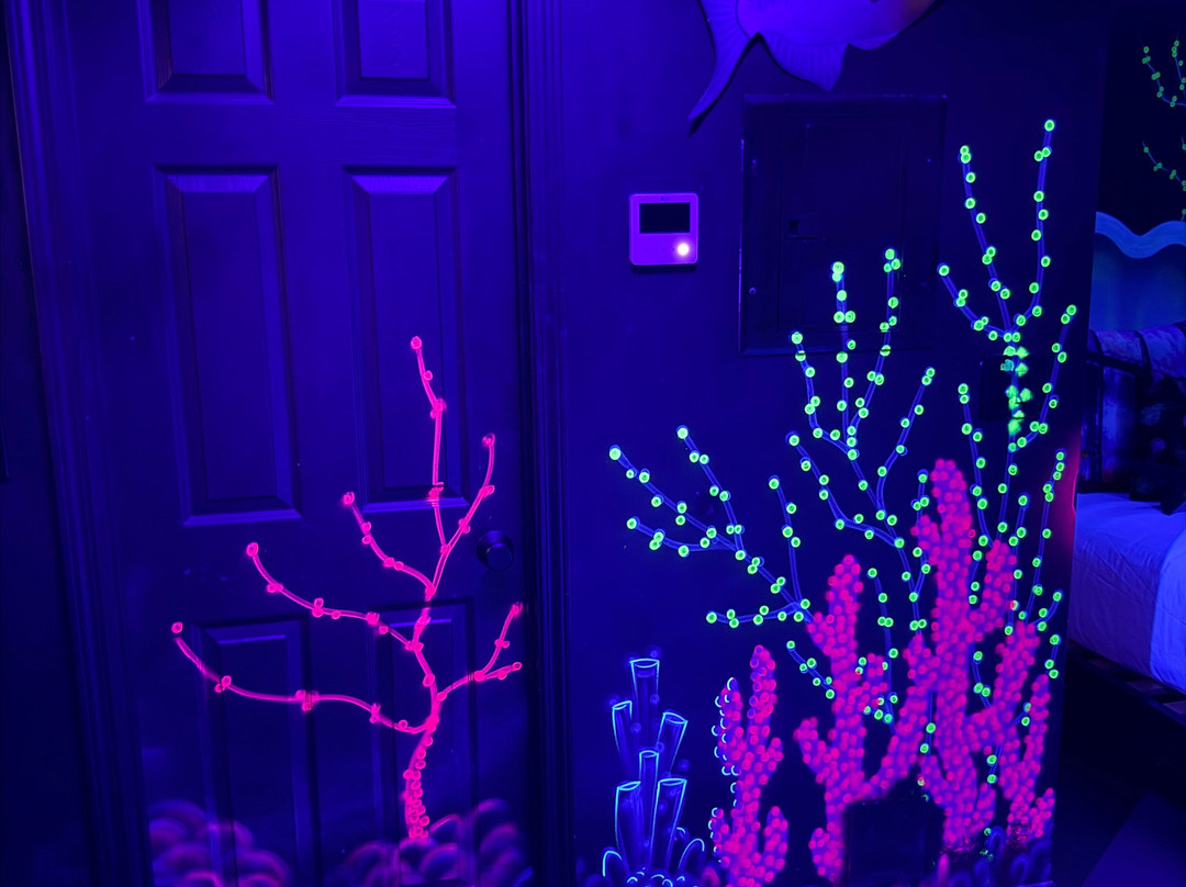 The Cove Hotel主图