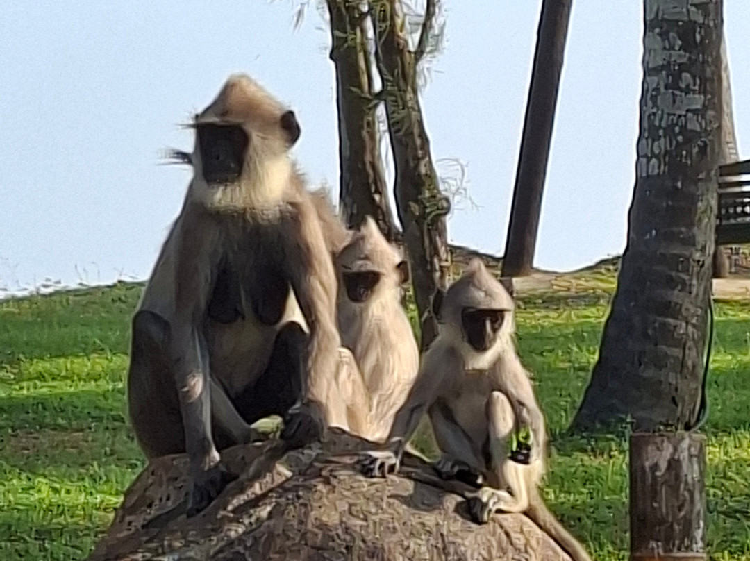 Taxi best lanka-Hungama必去景点
