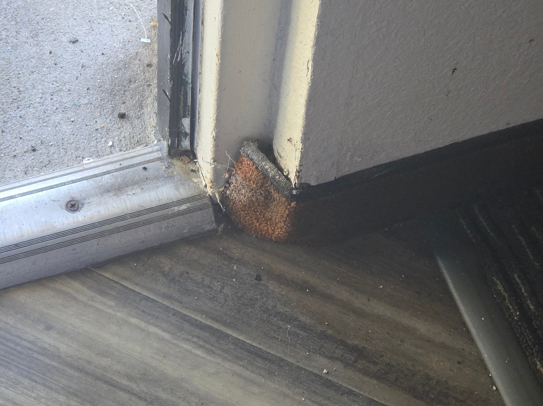 Days Inn by Wyndham Gainesville University I-75主图