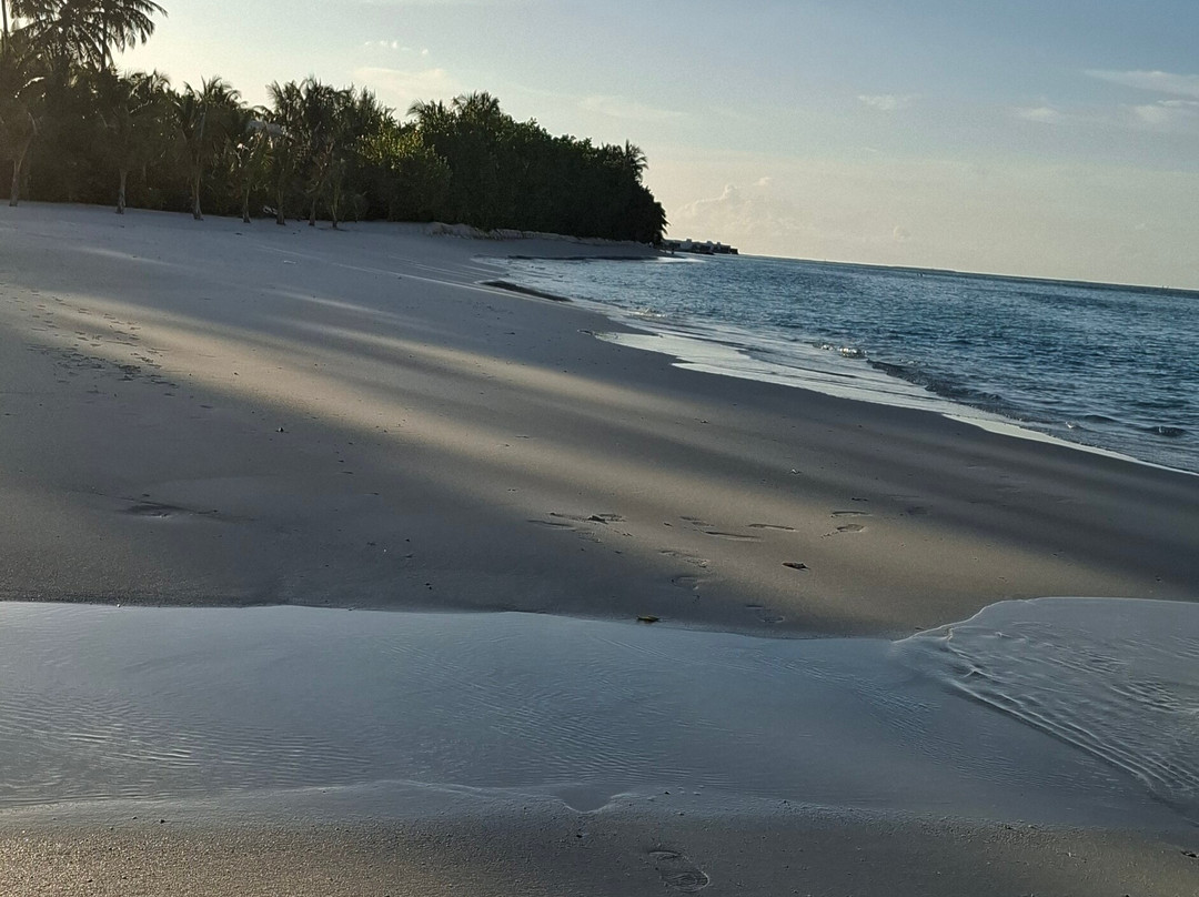 Riu Atoll House Reef-Gadifuri必去景点