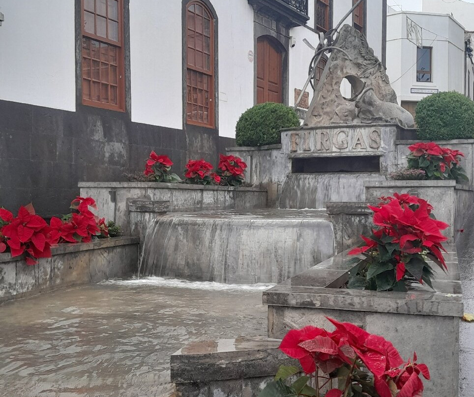 Paseo de Canarias-Firgas必去景点