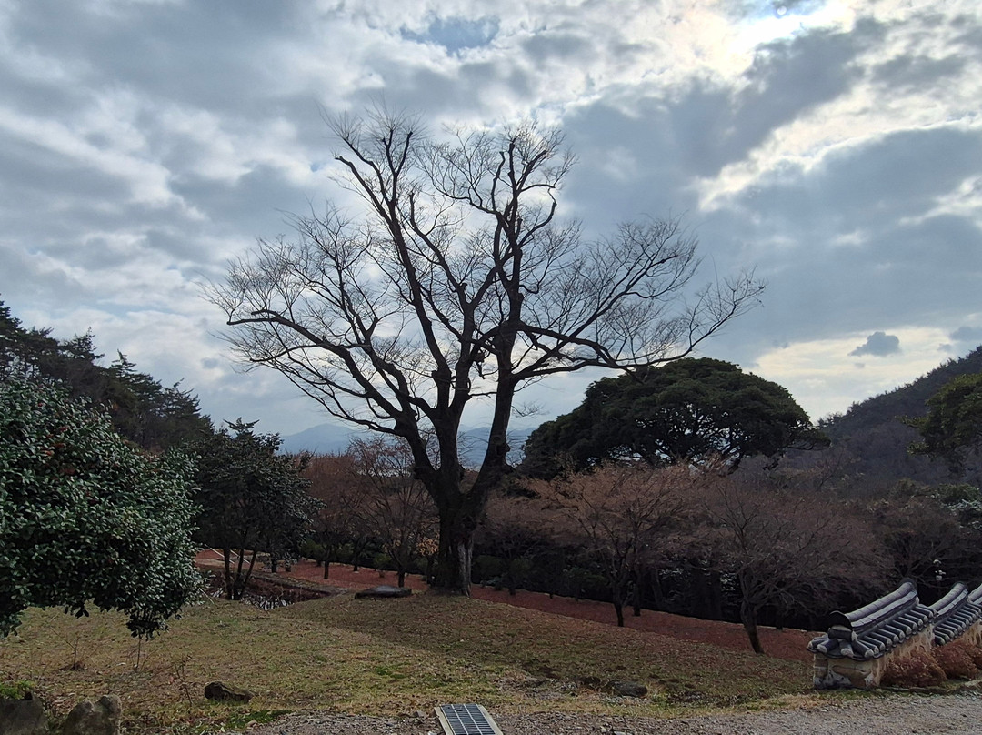 Baengnyeonsa Temple-康津郡必去景点