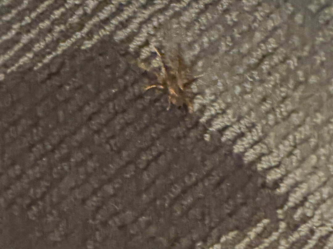 TownePlace Suites by Marriott Tulsa North/Owasso主图