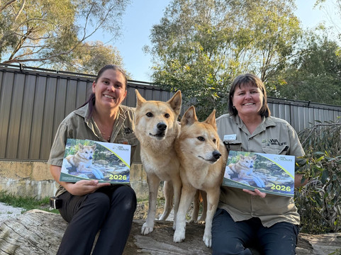 WA Wildlife-珀斯必去景点