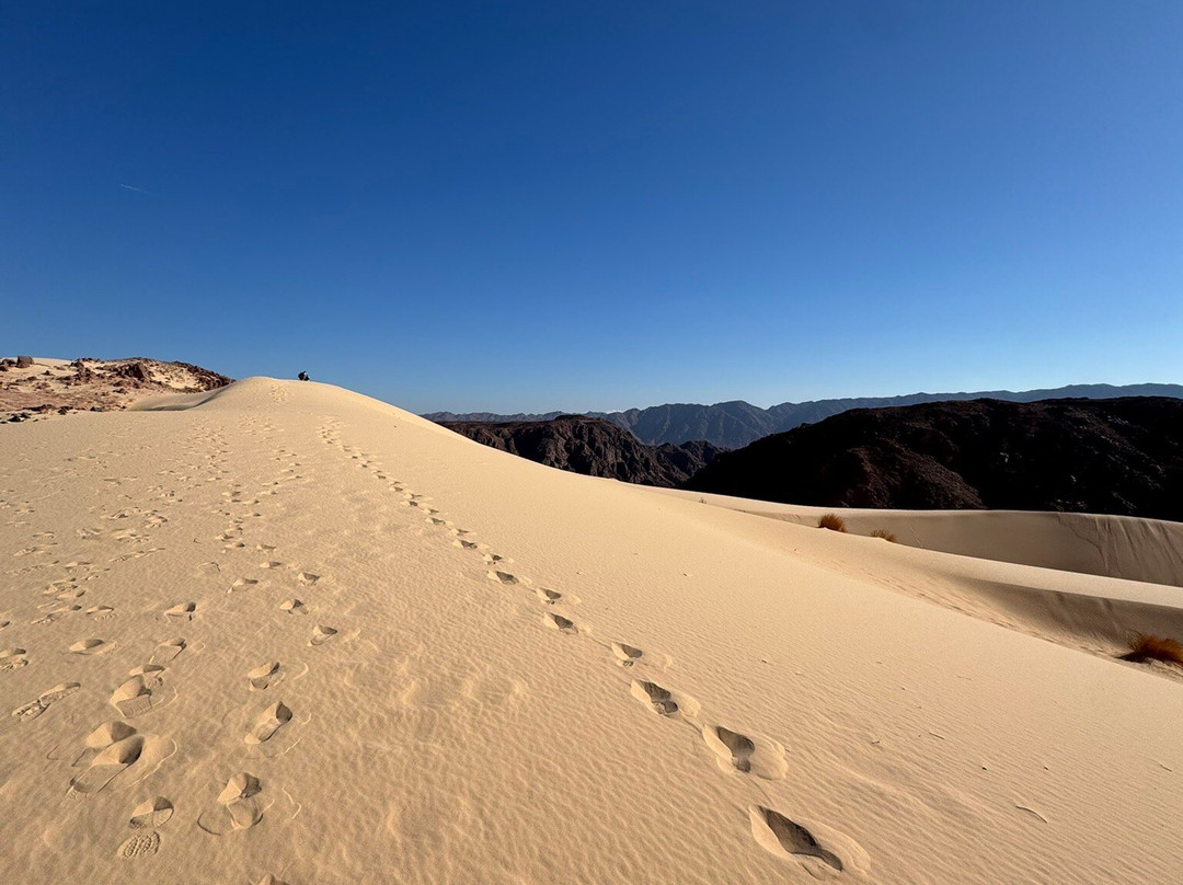 Desert Divers Dahab-达哈卜必去景点