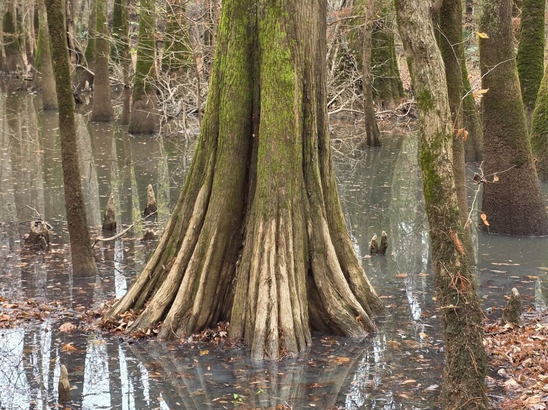 Carolina Outdoor Adventures-厄莫必去景点