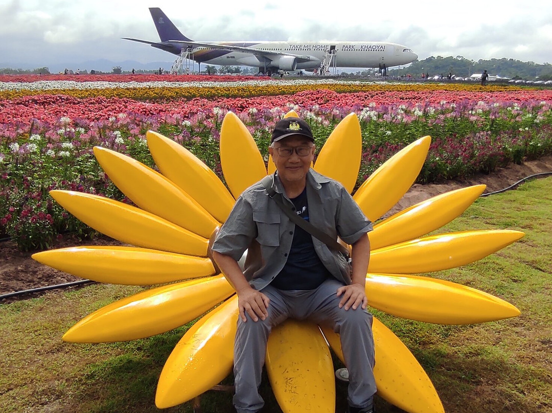 Peter Bangkok Taxi-曼谷必去景点