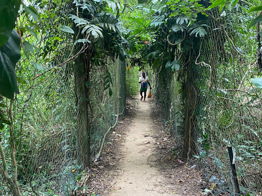 My Driver Sri Lanka-卡图纳耶克必去景点