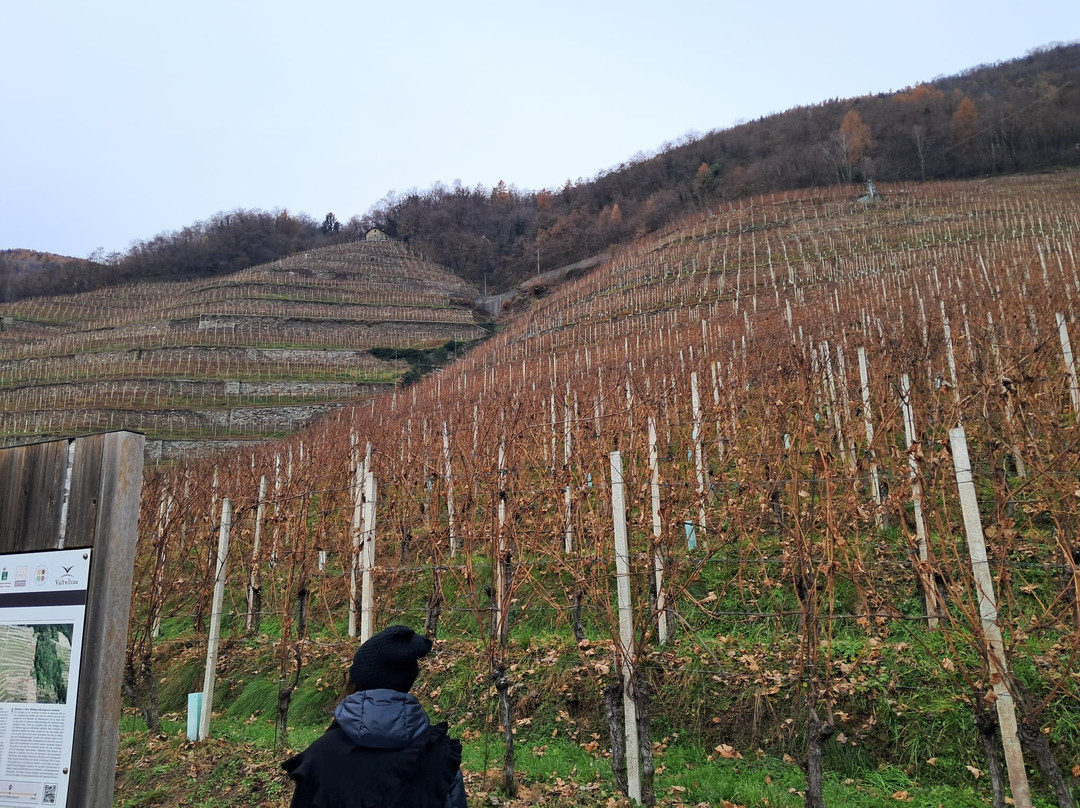 La Gatta - Triacca-Bianzone必去景点