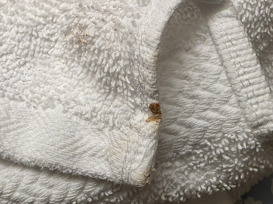 Everspring Inn主图