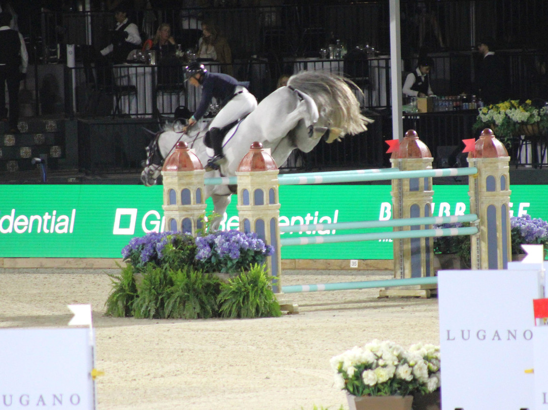 Wellington International-Wellington必去景点