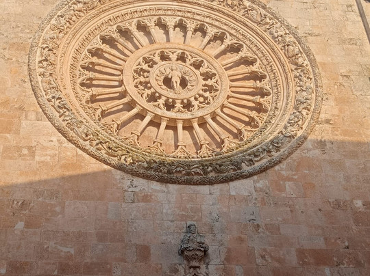 Concattedrale di Santa Maria Assunta-奥斯图尼必去景点