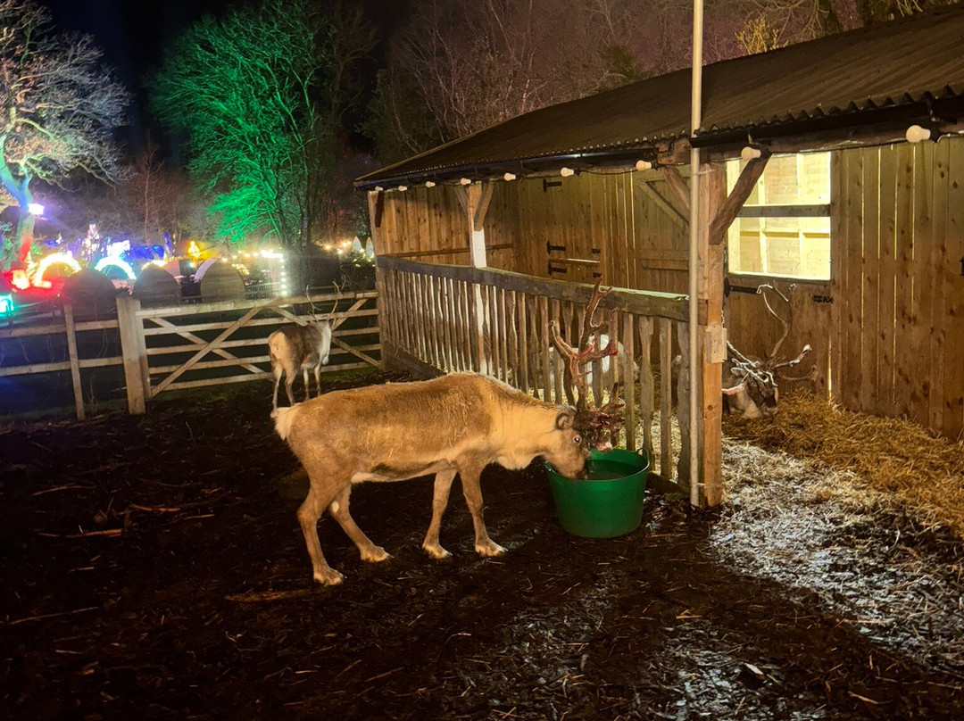 Reindeer Lodge-Leeswood必去景点