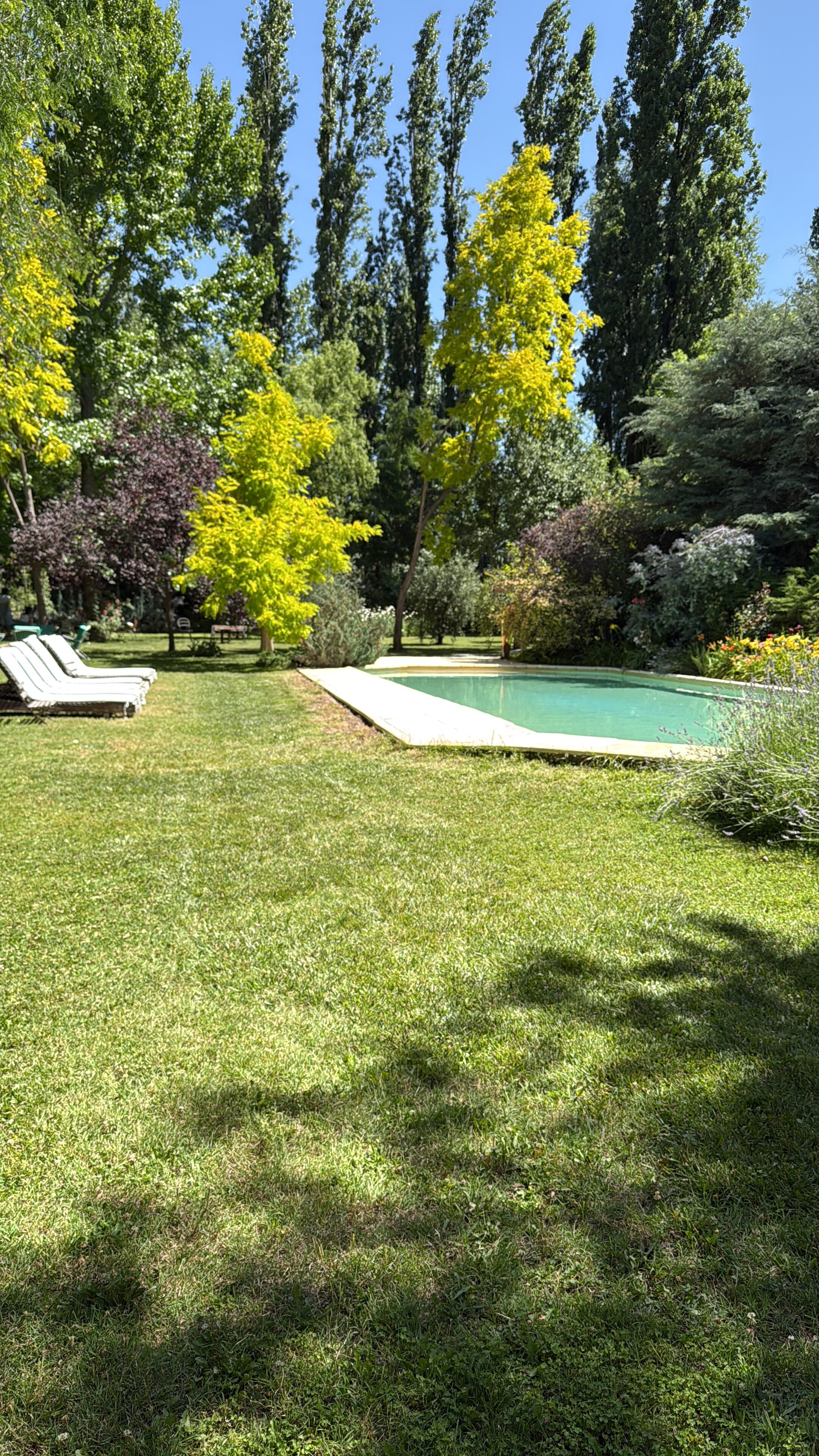 卡萨格力比尼雅斯酒店-官方