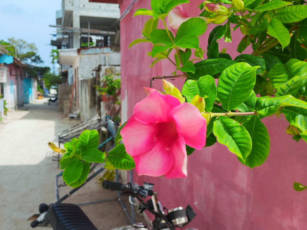 Gulhi Beach-Gulhi Island必去景点
