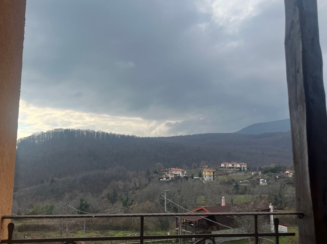 Atrion Hotel Elatochori主图