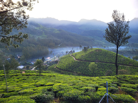 Talayar Valley Bungalow主图