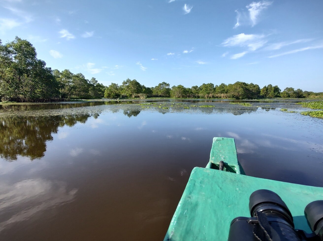 Kalametiya Bird Watching & Ecotourism-Kalametiya必去景点