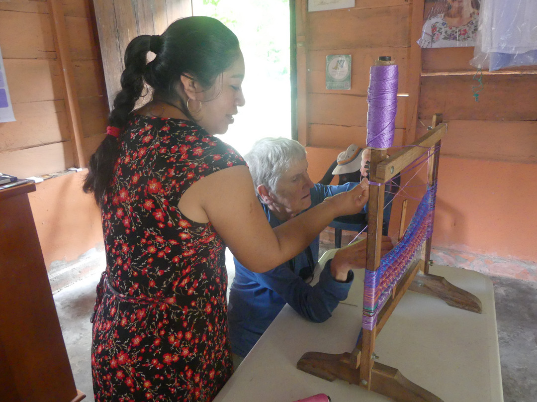 Visit Calakmul-Xpujil Town必去景点