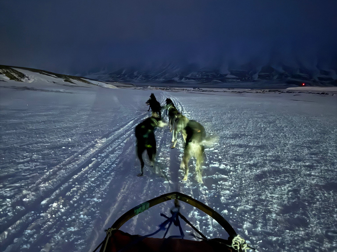 Husky Travellers-朗伊尔城必去景点