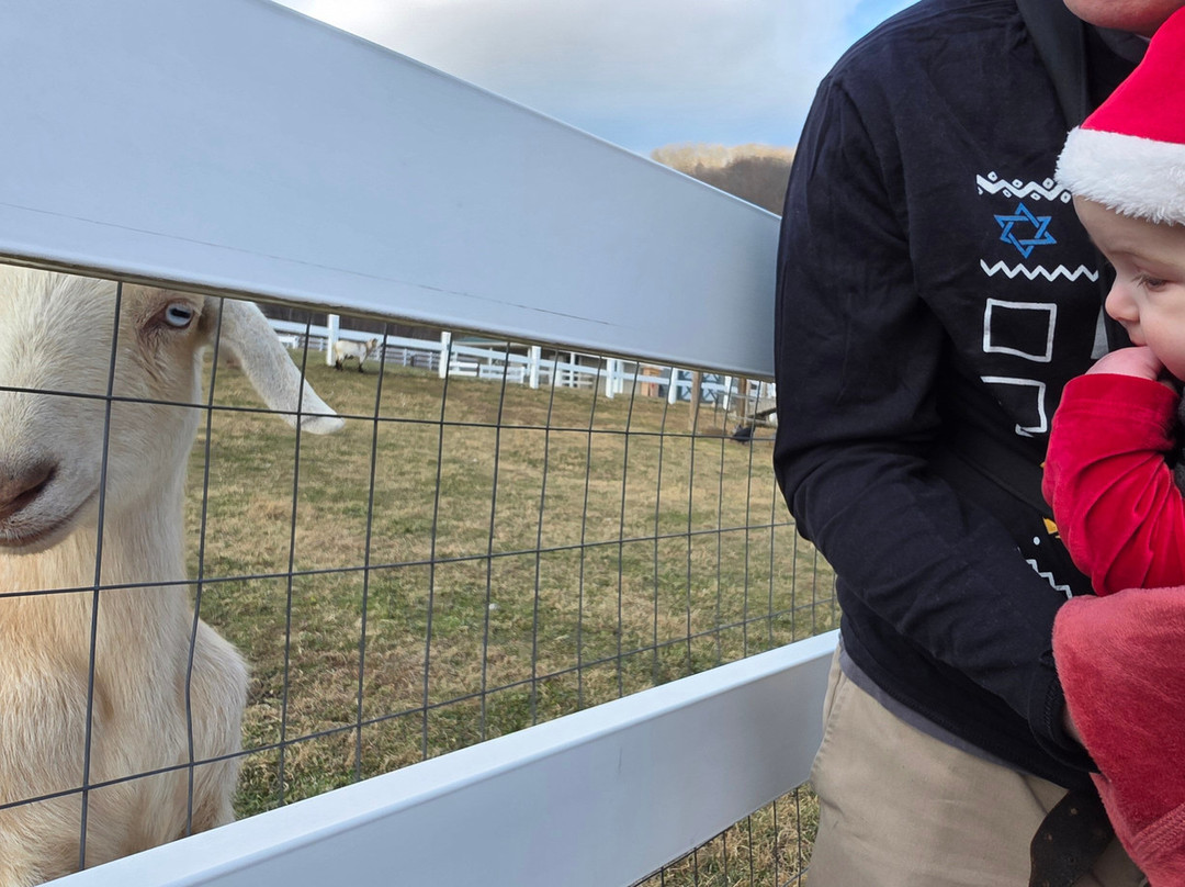 Winchester Creek Farm-韦恩斯维尔必去景点