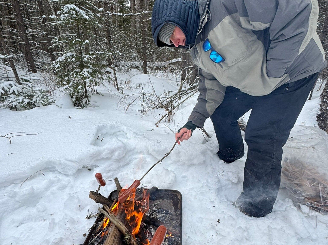 White Wilderness Sled Dog Adventures-伊利必去景点
