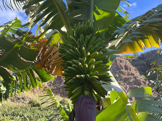 Nunes Taxi Turismo-沙尔必去景点