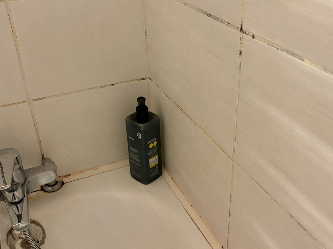 The Originals Access Hotel Arum, Remiremont主图