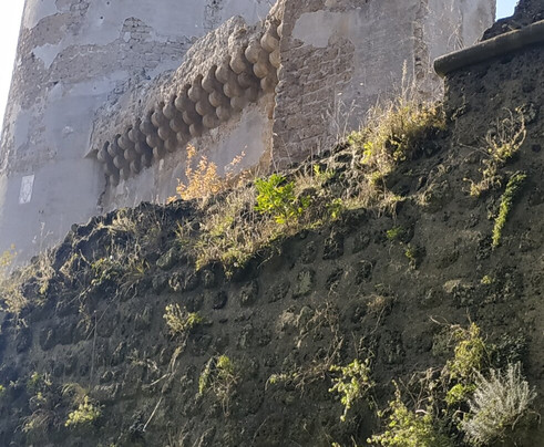 Il Forte Dei Borgia-Nepi必去景点