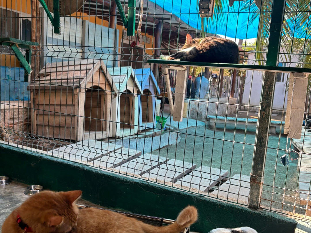 Refugio Holbox-Holbox Island必去景点