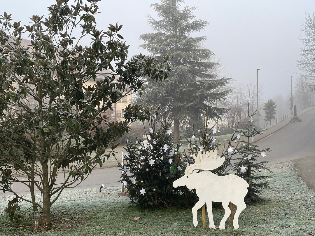 Kurpark Bad Bellingen-Bad Bellingen必去景点