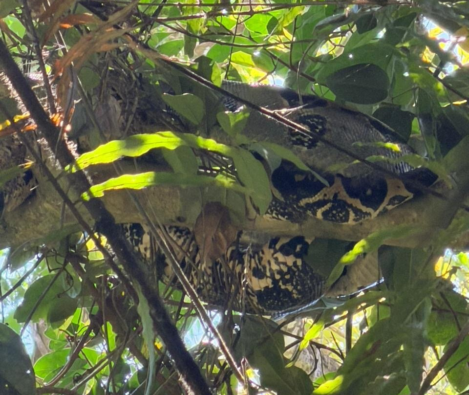 Alejandro Chaves Viquez Tour Guide-圣何塞必去景点