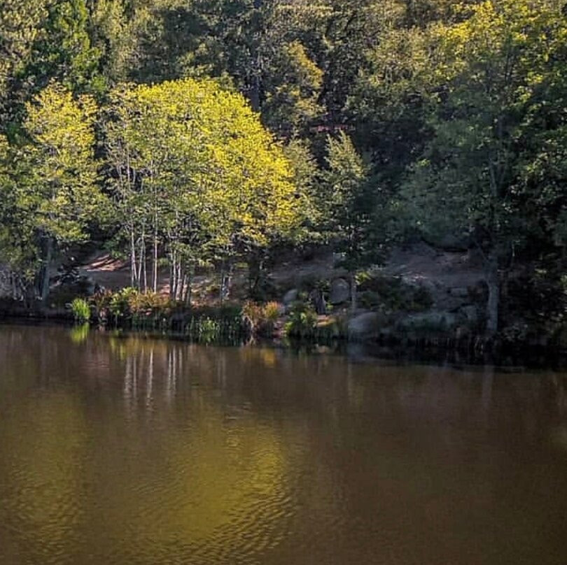 Lake Fulmor-Idyllwild必去景点