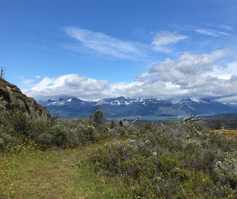Rupestre Patagonia-纳塔莱斯港必去景点