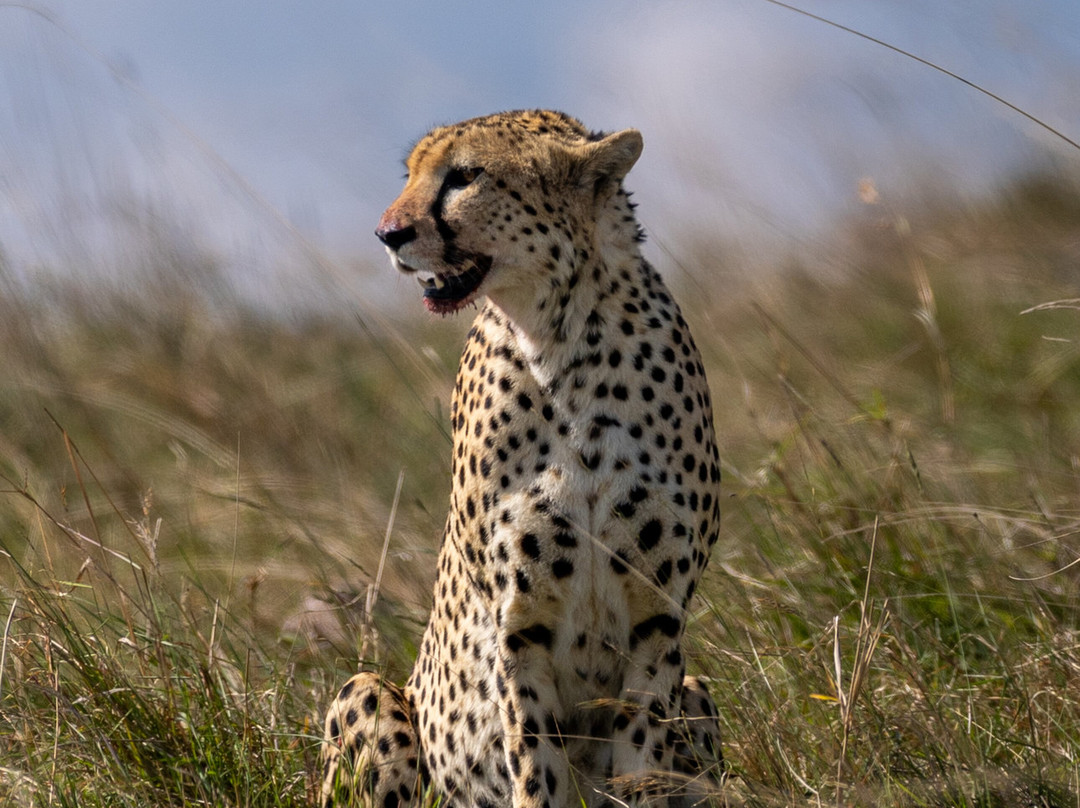 Grand Africa Experiences Ltd-Voi必去景点