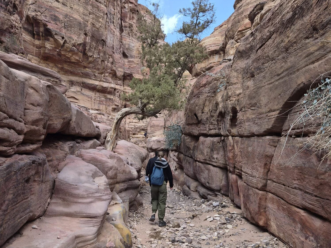 Abdullah Nawafleh - Private Guide-佩特拉必去景点