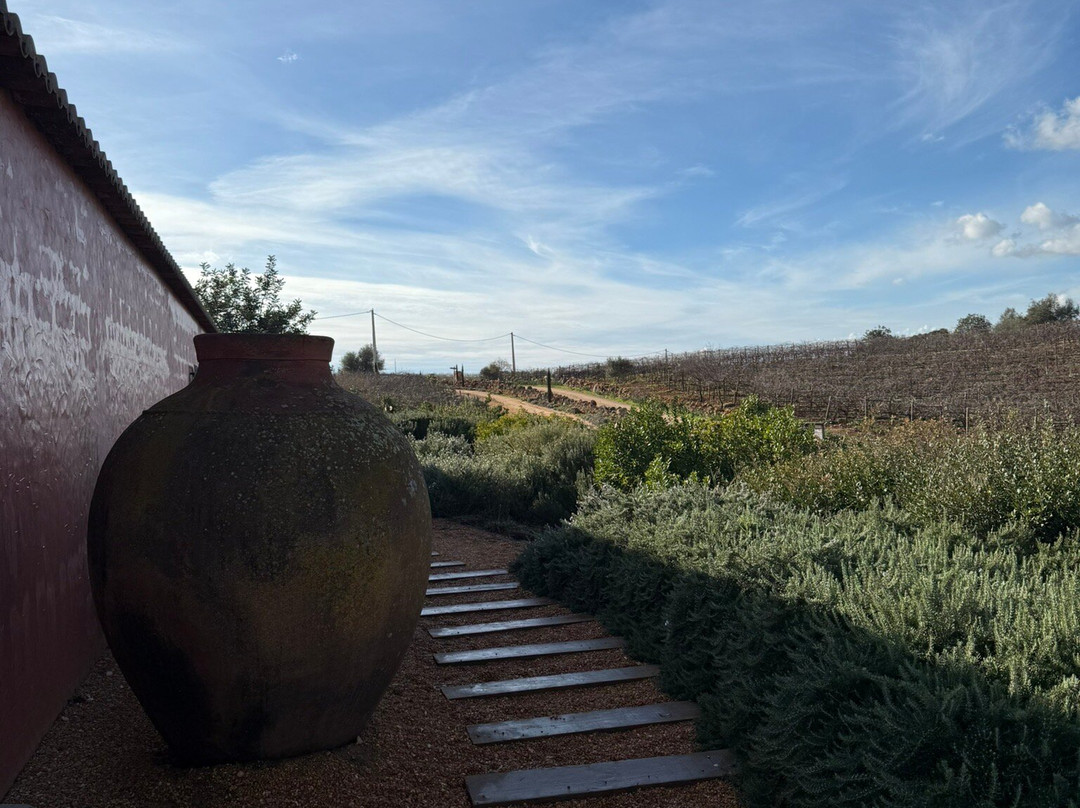 Arvad Wines-Estombar必去景点