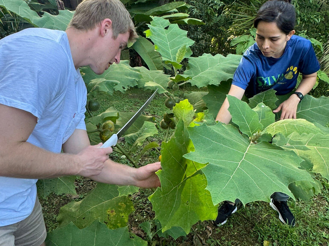 Selva Connections-希门尼斯港必去景点