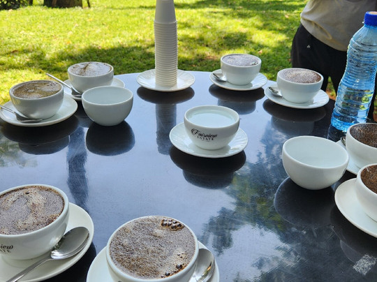 Fairview Coffee Estate-内罗毕必去景点